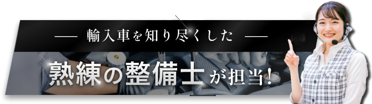 輸入車を知り尽くした熟練の整備士が担当！